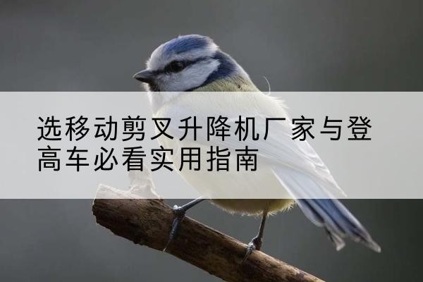 山城电动升降机厂家-选移动剪叉升降机厂家与登高车必看实用指南