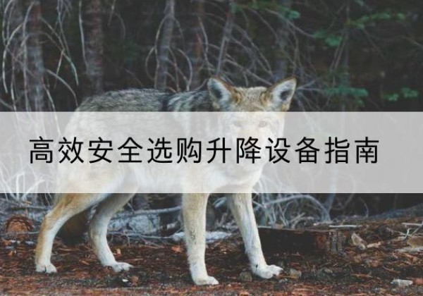 山城升降货梯厂家推荐-*安全选购升降设备指南